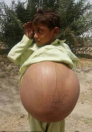 ��� ���� ������ - ���������� �� ������� �����