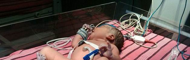 ������� ������������ - ���������� �� ������� �����