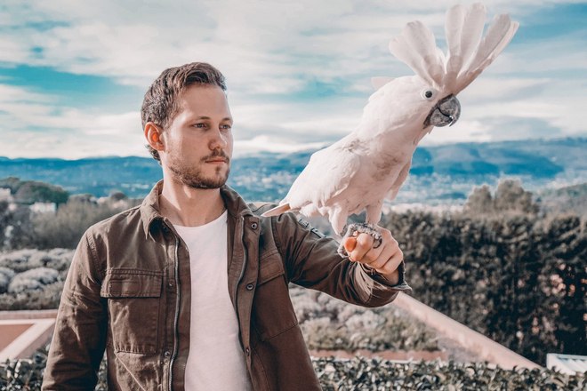 ��������� ������ - ���������� �� ������� �����