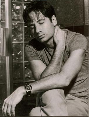 ����� ������� - ���������� �� ������� �����