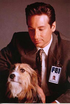 ����� ������� - ���������� �� ������� �����